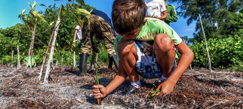Restoring natural habitats as pictured here in Cuba will help to slow down climate change-f7dbb81a2b52d8dee1a33f2a8f651d361622871473.jpg